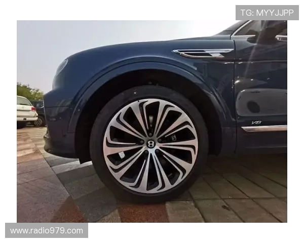 尊龙凯时z6官网下载：新版软件功能亮点全面解读