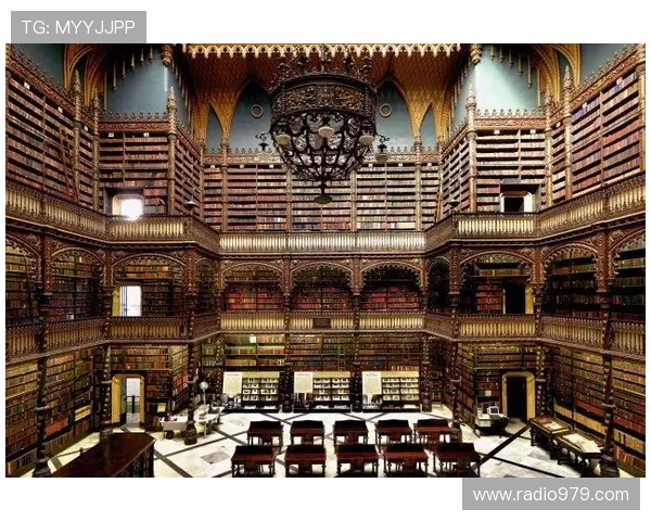 尊龙凯时z6最新版本下载后常见问题及解决方案全攻略