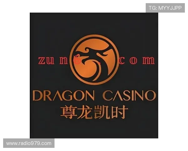 尊龙时凯官网入口：官方入口常见问题与解决方案，帮助玩家顺利进入游戏